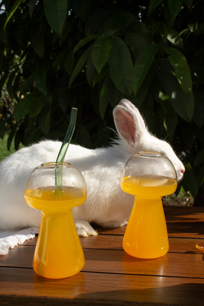 Vaso hongo Fungi Bloom
