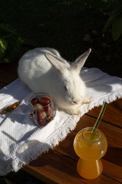 Vaso hongo Fungi Bloom